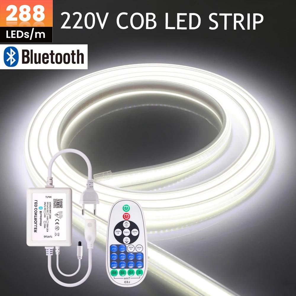   COB LED Ʈ,     FOB LED ,  ڿ   EU ÷ ŰƮ, 220V, 288Leds/m